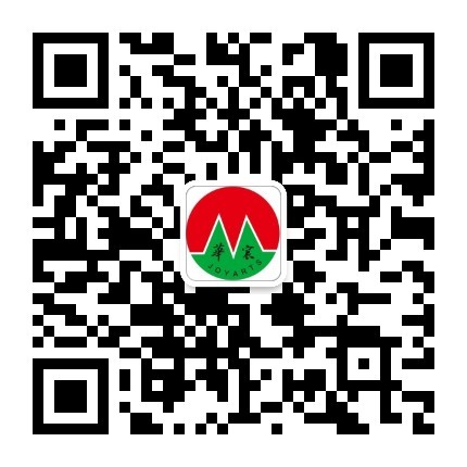 ɽ����(sh��)ľ�T(m��n)